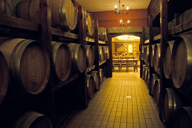 TodoroffTodoroff бе един от първите производители на вино в България, който започна да разработва модел на винения туризъм през 2007 г. С него той успя не само да даде тласък на развитието на Брестовица, където е базиран, но и да зададе тон за формулата, която включва комбинация от дегустации с вино и мезе, но също хотел, ресторант и екстра услуги – един самодостатъчен модел на развлекателен комплекс, като в случая развлечението е виното.Дегустациите тук могат да са на ниво непрофесионалисти или изцяло индивидуални и по-задълбочени. Естествено виното е в изобилие и в ресторанта с интернационална и традиционна родопска кухня. То е и звездата в първия по рода си в България спа център, в който процедурите са с вино и гроздови продукти. Повече информация на: www.todoroff-wines.com